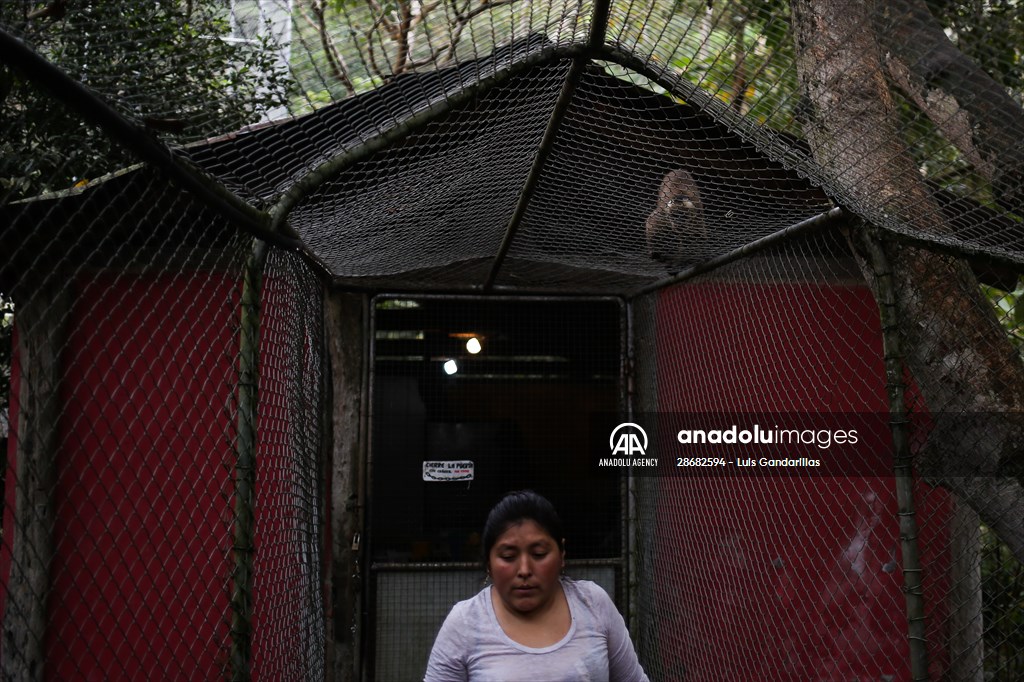 Senda Verde wildlife sanctuary in Bolivia