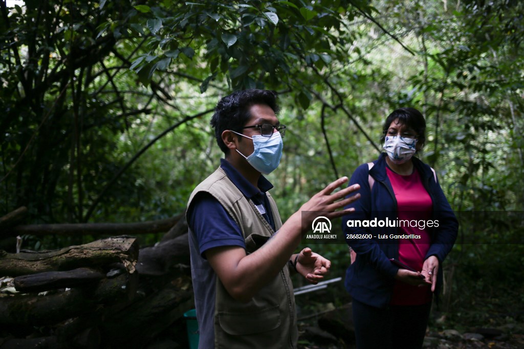 Senda Verde wildlife sanctuary in Bolivia