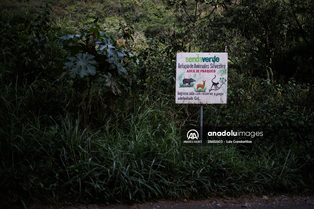 Senda Verde wildlife sanctuary in Bolivia