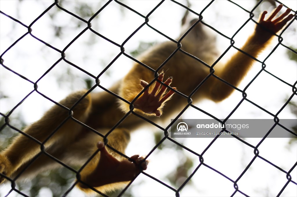 Senda Verde wildlife sanctuary in Bolivia