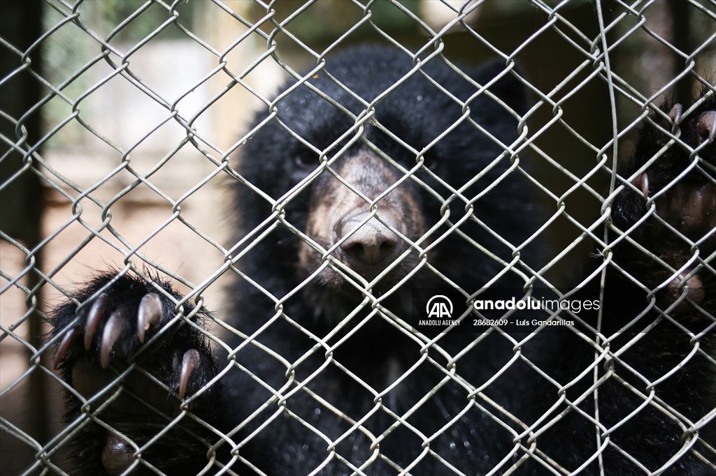 Senda Verde wildlife sanctuary in Bolivia