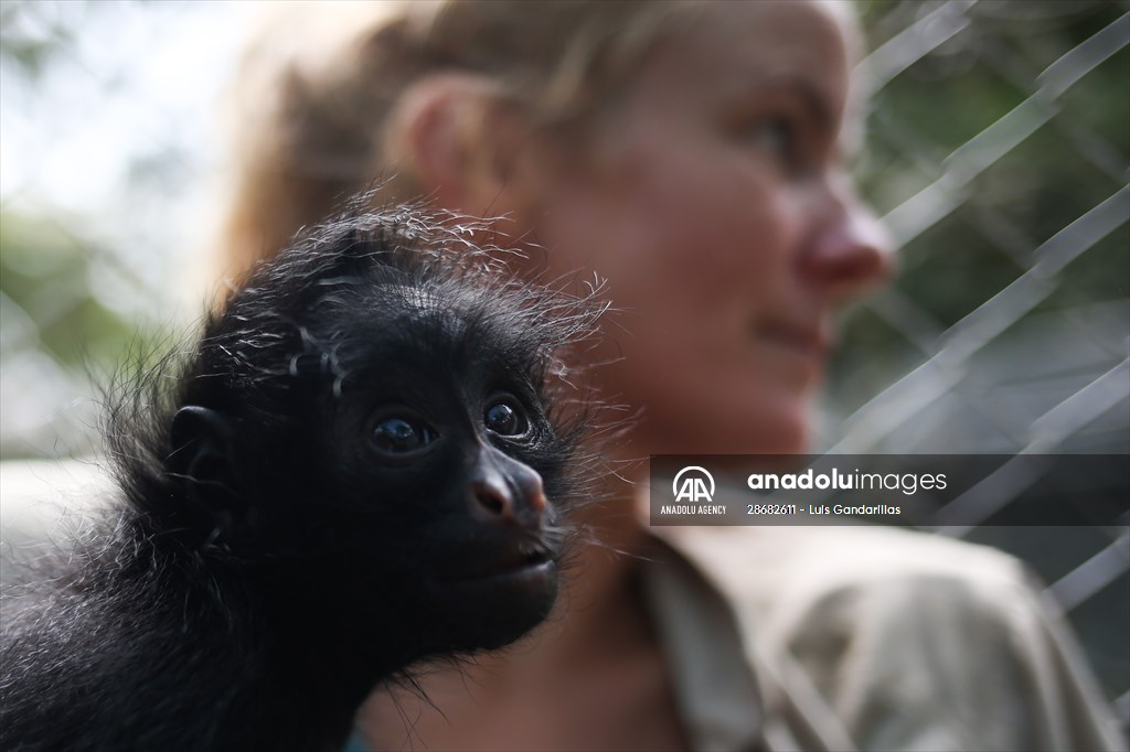 Senda Verde wildlife sanctuary in Bolivia