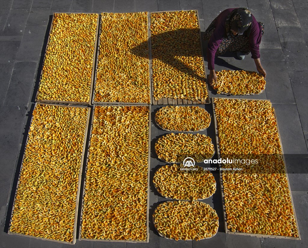 Malatya'dan 20 günde 16 milyon dolarlık kuru kayısı ihracatı