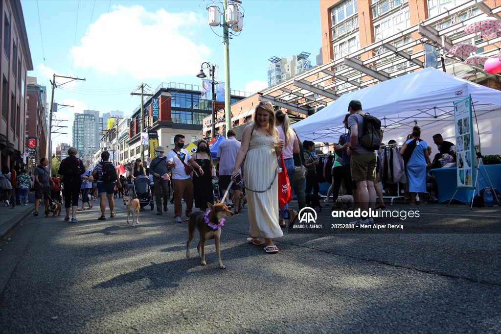 The Day Of The Dog Festival in Canada