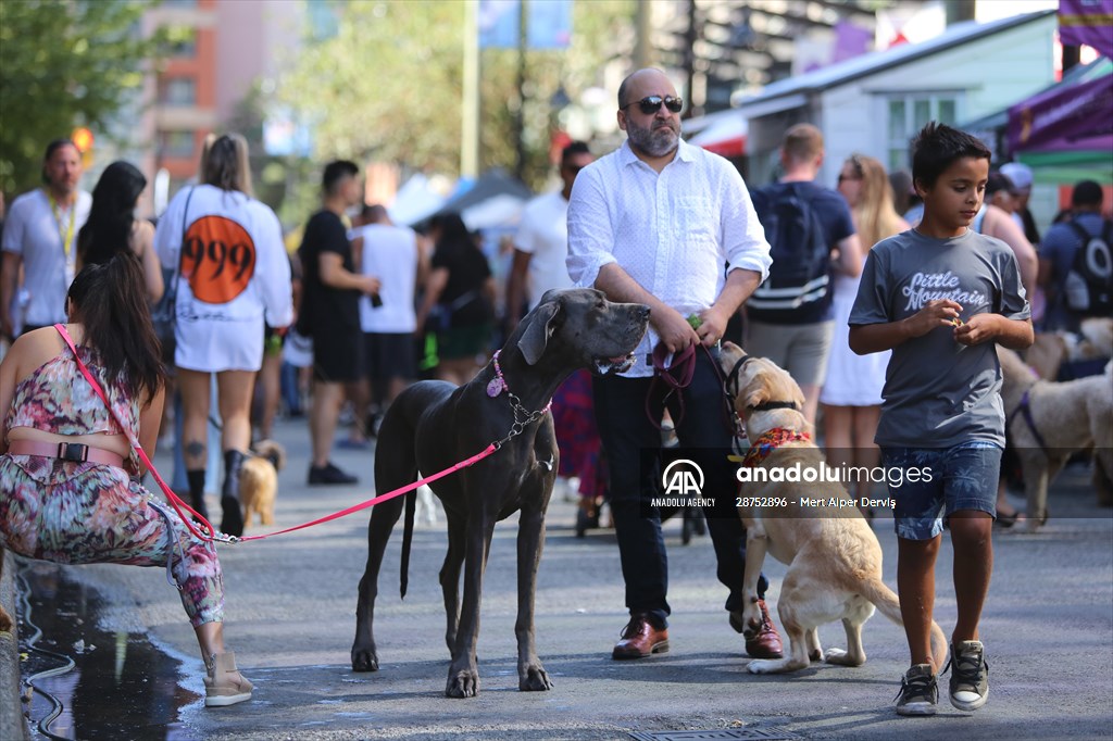 The Day Of The Dog Festival in Canada