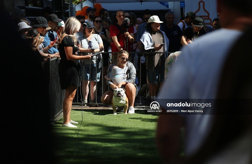 The Day Of The Dog Festival in Canada