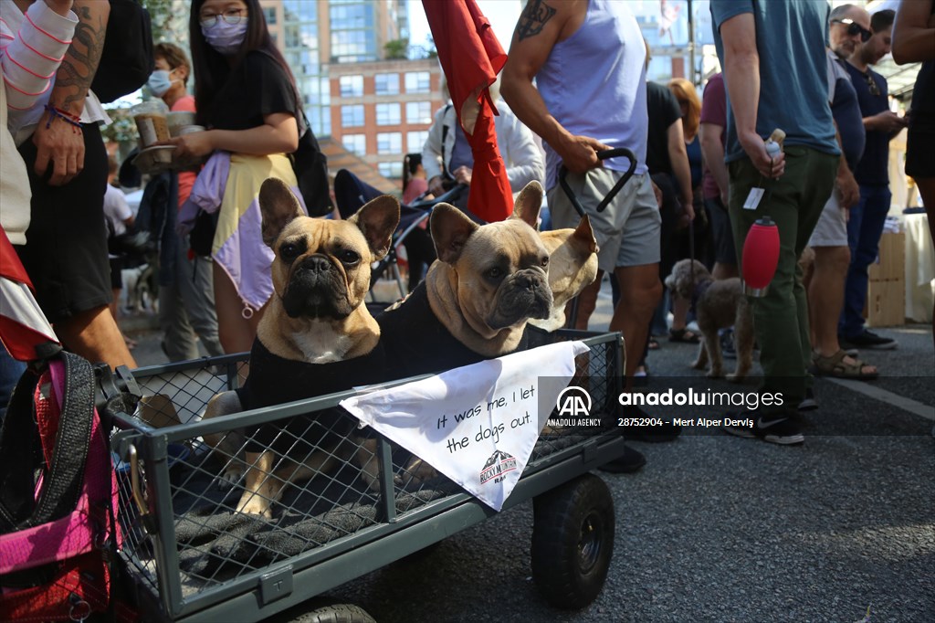 The Day Of The Dog Festival in Canada