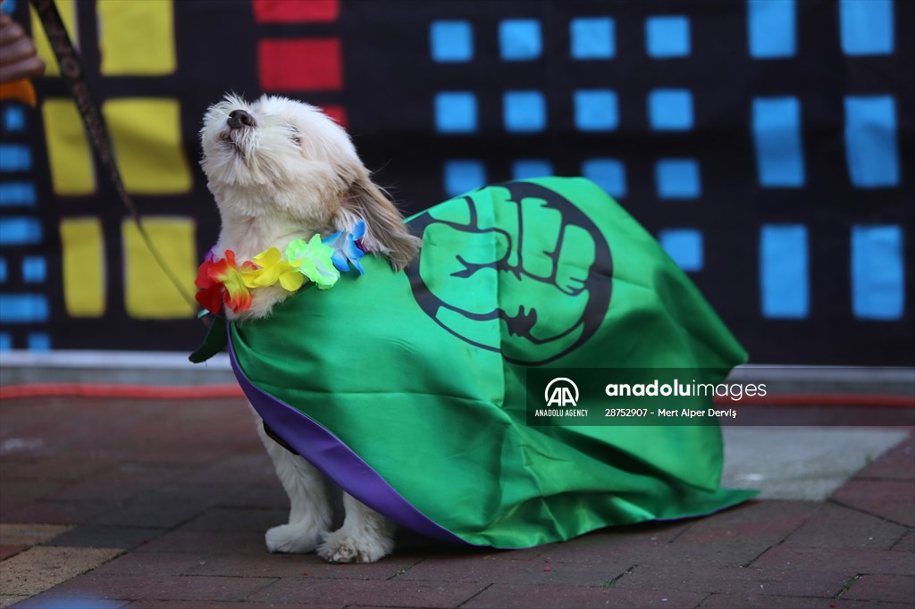 The Day Of The Dog Festival in Canada