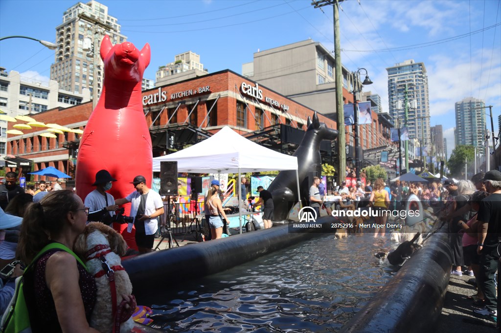 The Day Of The Dog Festival in Canada