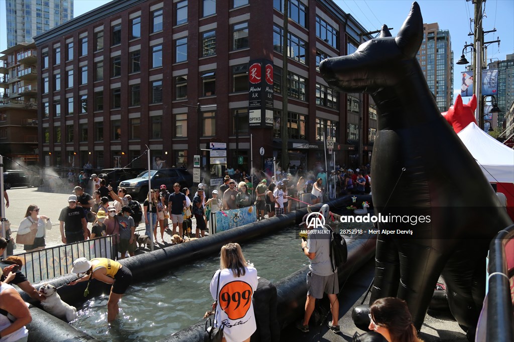 The Day Of The Dog Festival in Canada