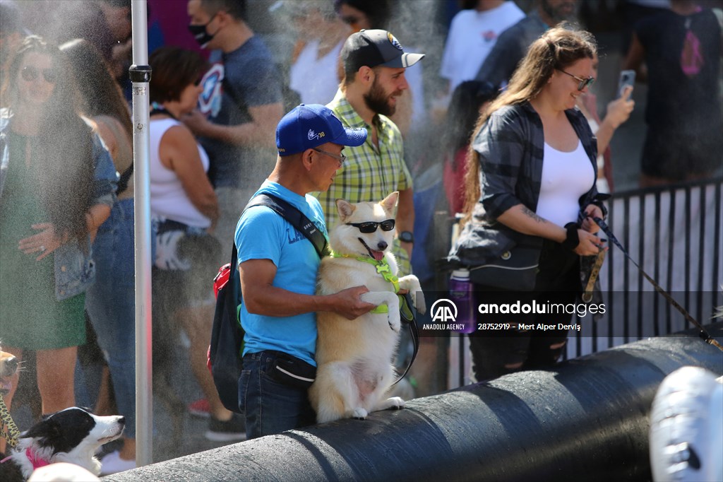 The Day Of The Dog Festival in Canada