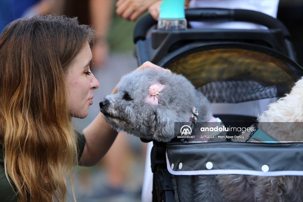 The Day Of The Dog Festival in Canada