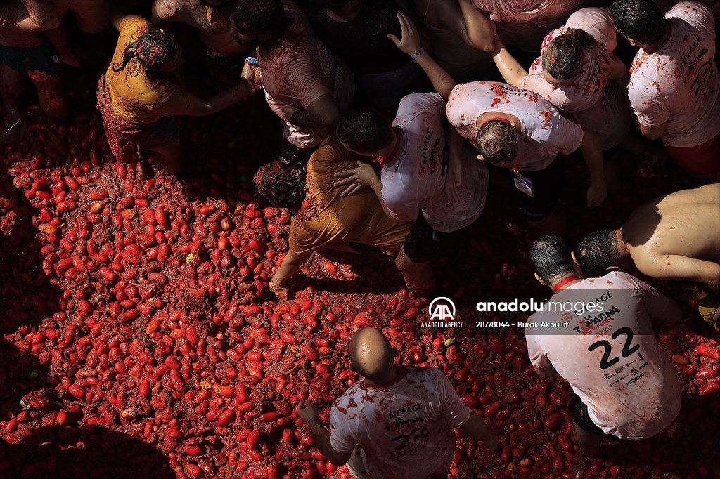 "La Tomatina" Festival in Spain Anadolu Images