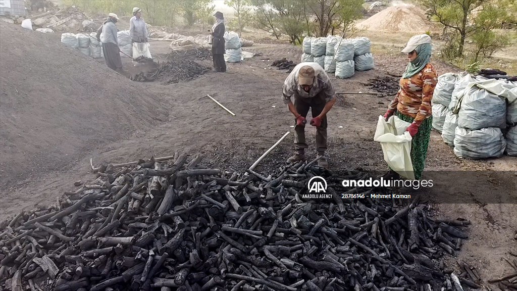 Oak wood converted into charcoal in Turkish capital