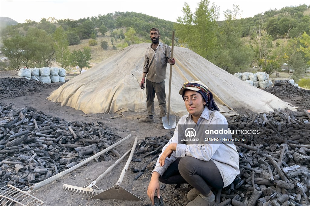 Oak wood converted into charcoal in Turkish capital