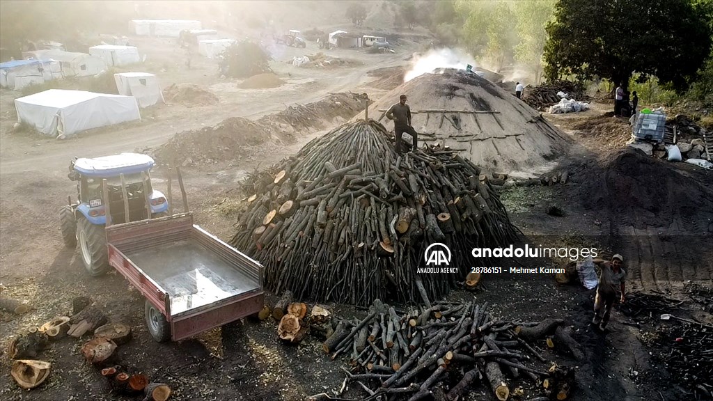 Oak wood converted into charcoal in Turkish capital