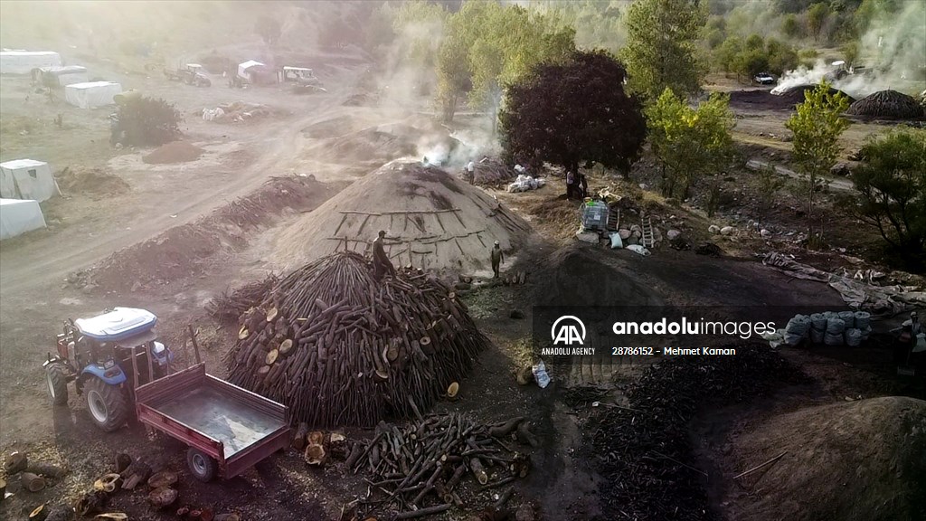 Oak wood converted into charcoal in Turkish capital