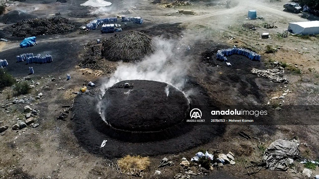 Oak wood converted into charcoal in Turkish capital