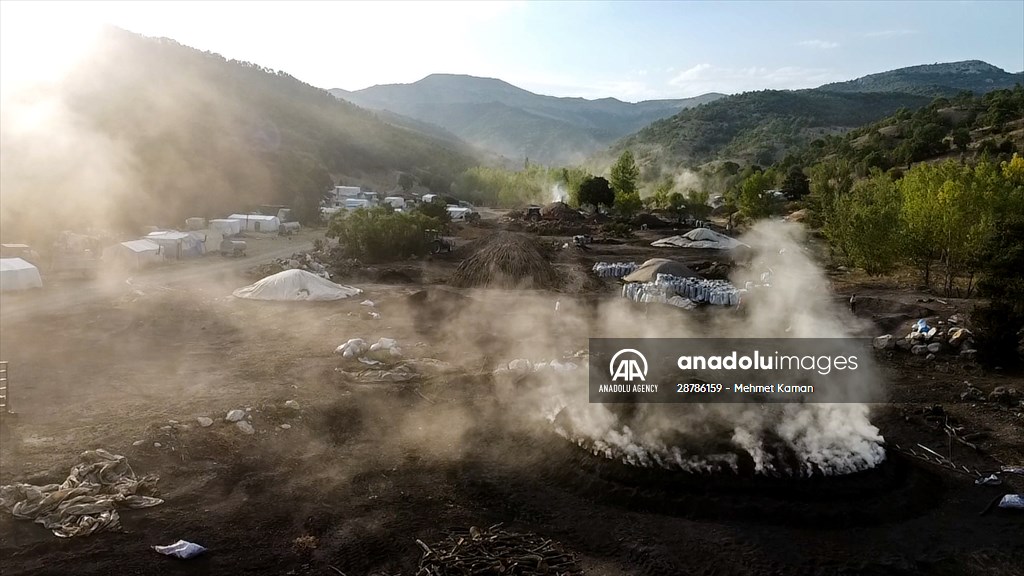 Oak wood converted into charcoal in Turkish capital