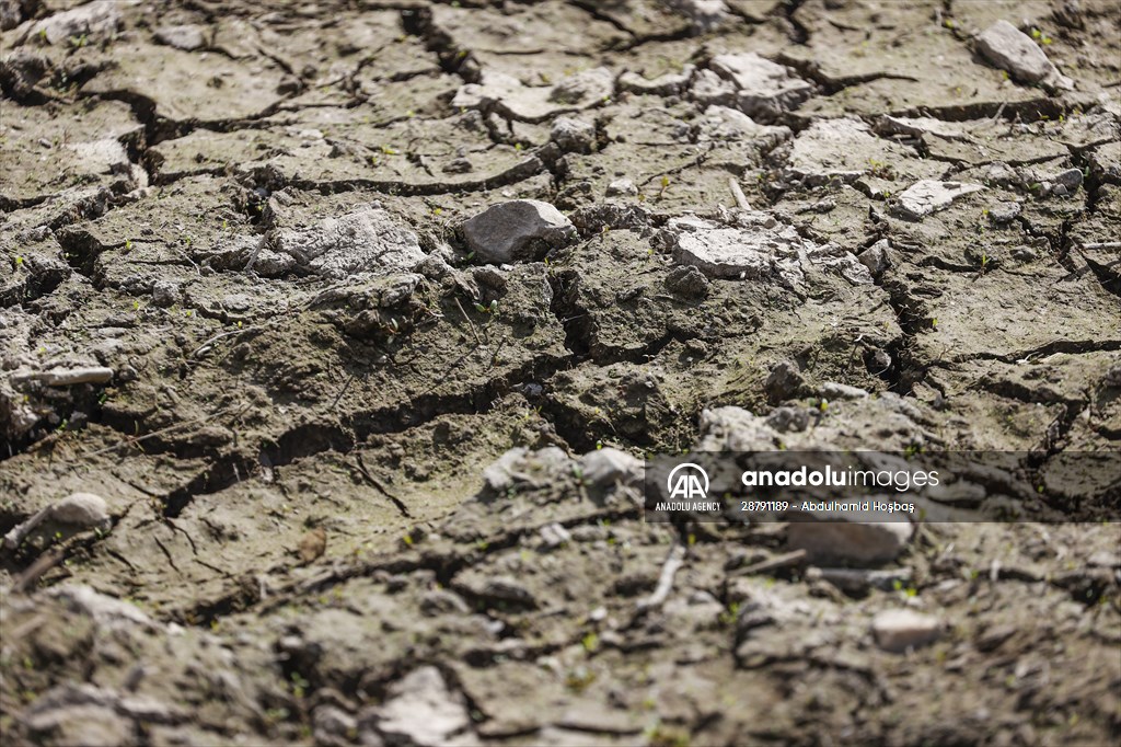 water-level-drop-in-germany-anadolu-images