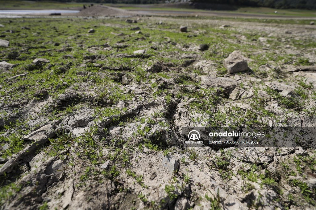 Water level drop in Germany