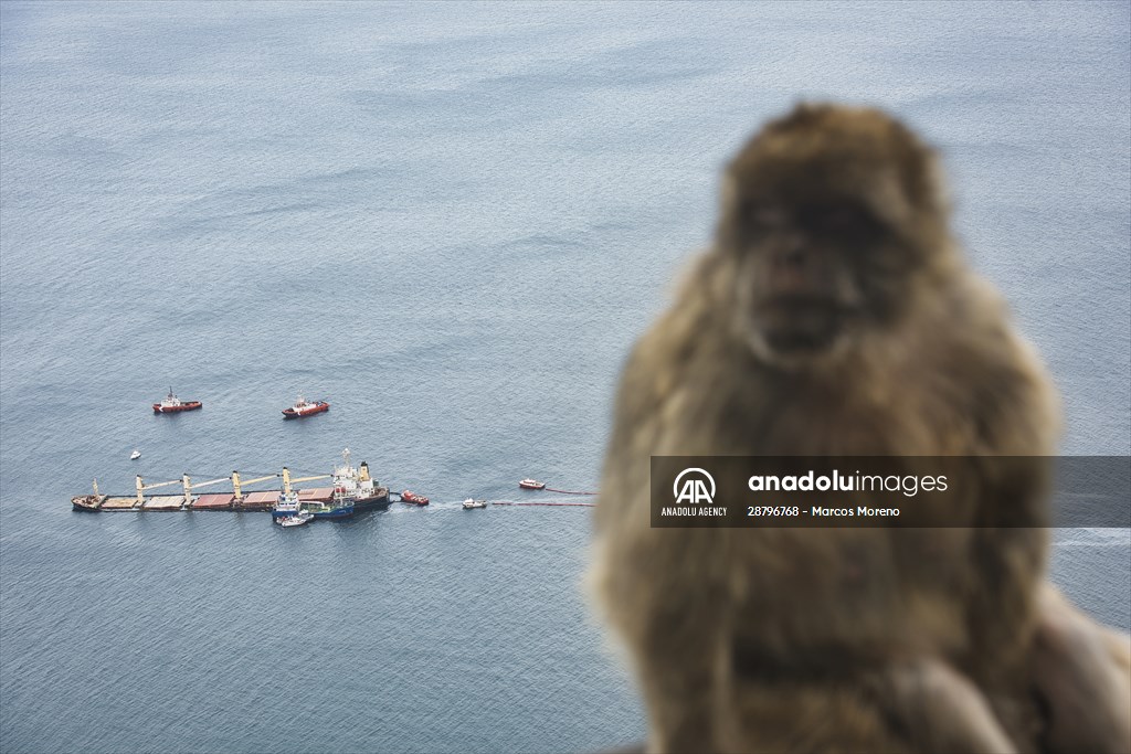 Cargo ship leaks fuel near Gibraltar