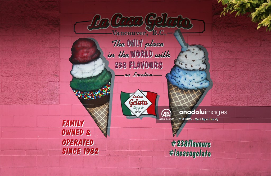 World Record 238 Ice Cream Flavours Anadolu Images