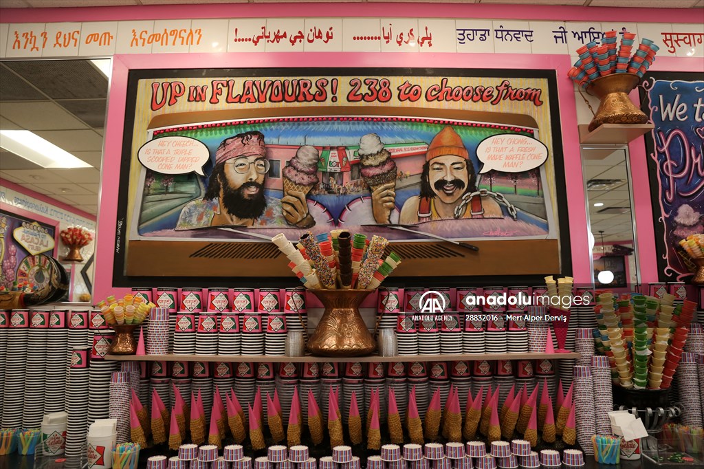 World Record 238 Ice Cream Flavours