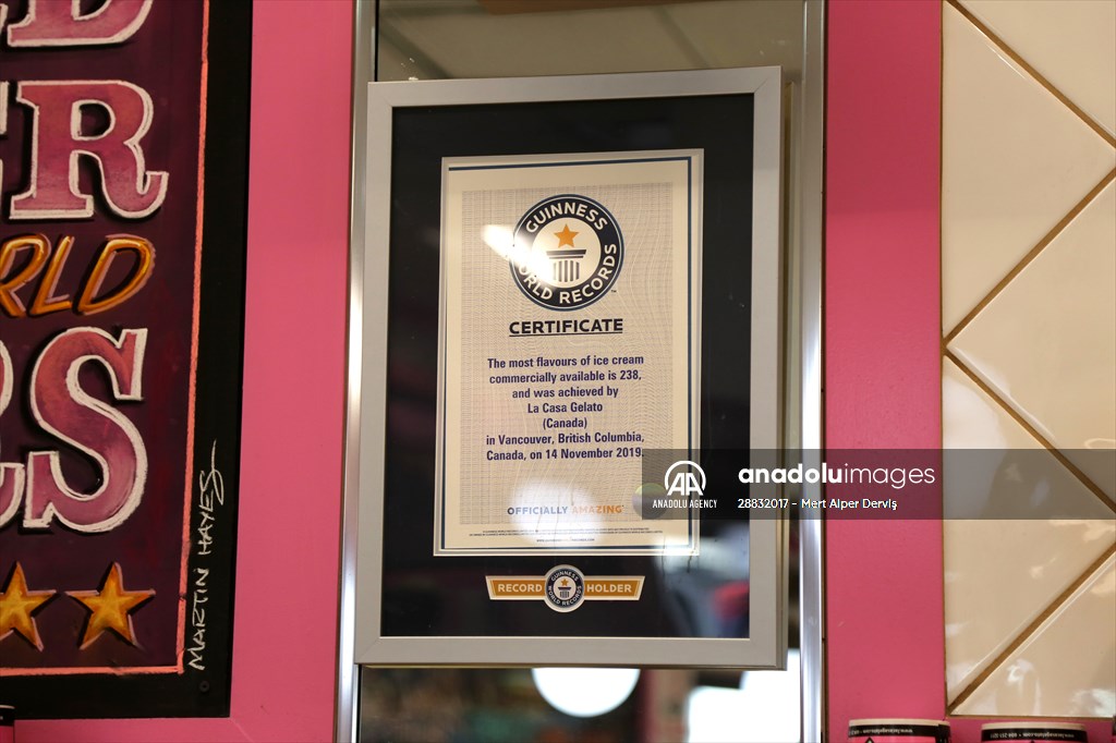 World Record 238 Ice Cream Flavours