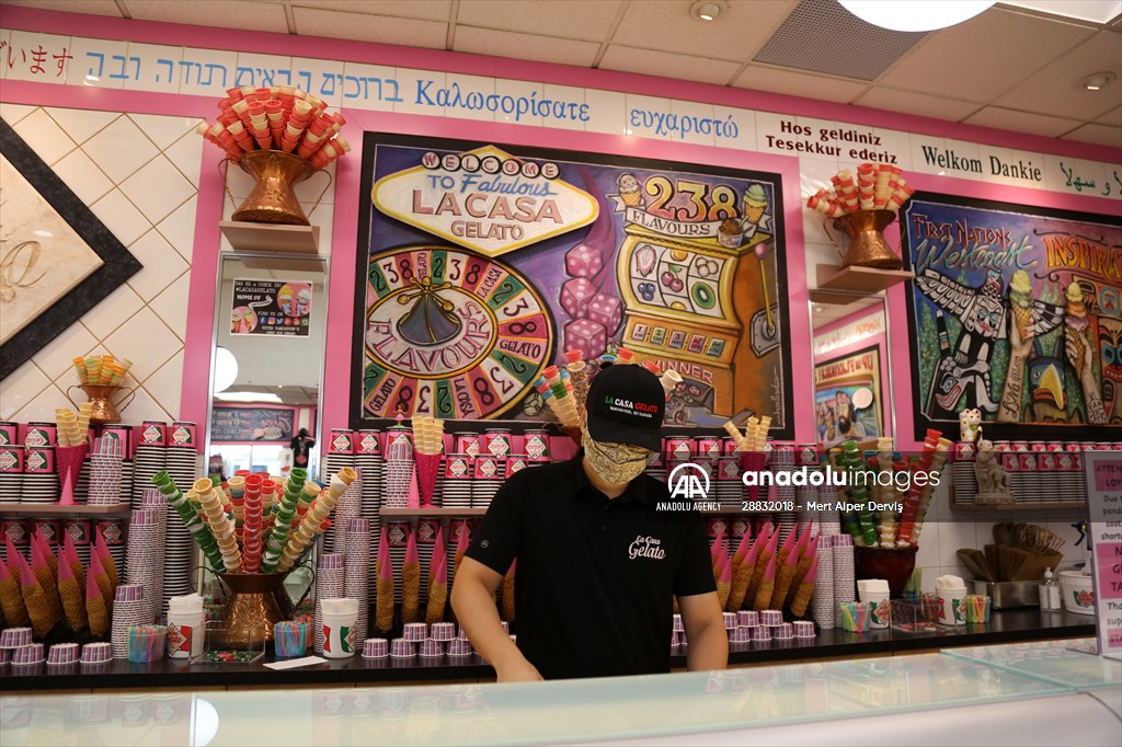 World Record 238 Ice Cream Flavours