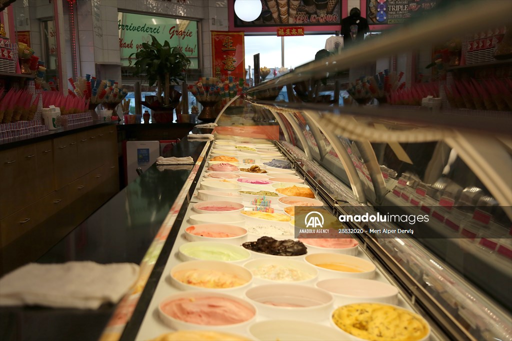 World Record 238 Ice Cream Flavours