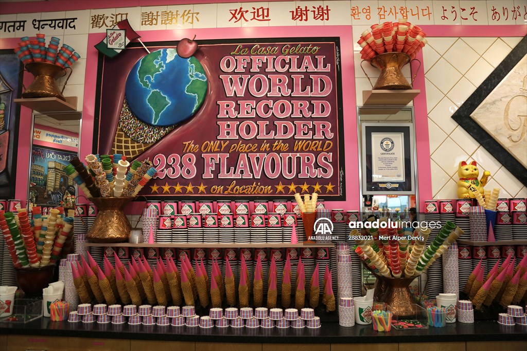 World Record 238 Ice Cream Flavours