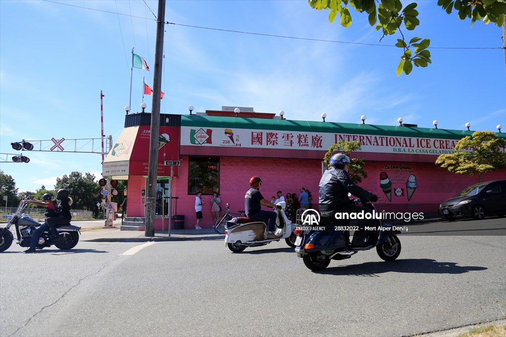 World Record 238 Ice Cream Flavours