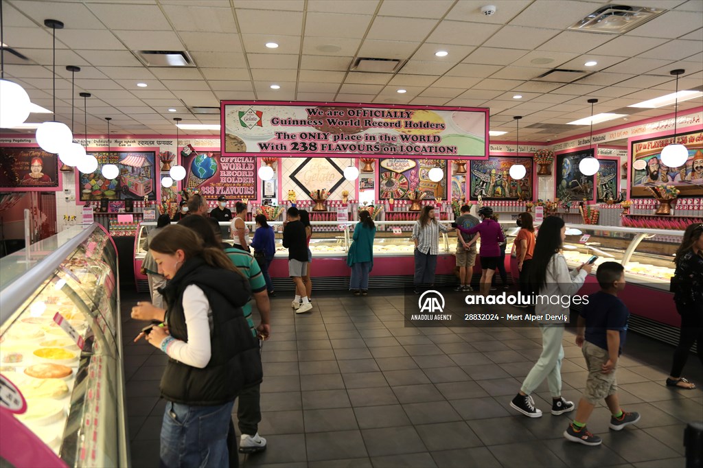 World Record 238 Ice Cream Flavours