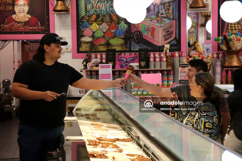 World Record 238 Ice Cream Flavours