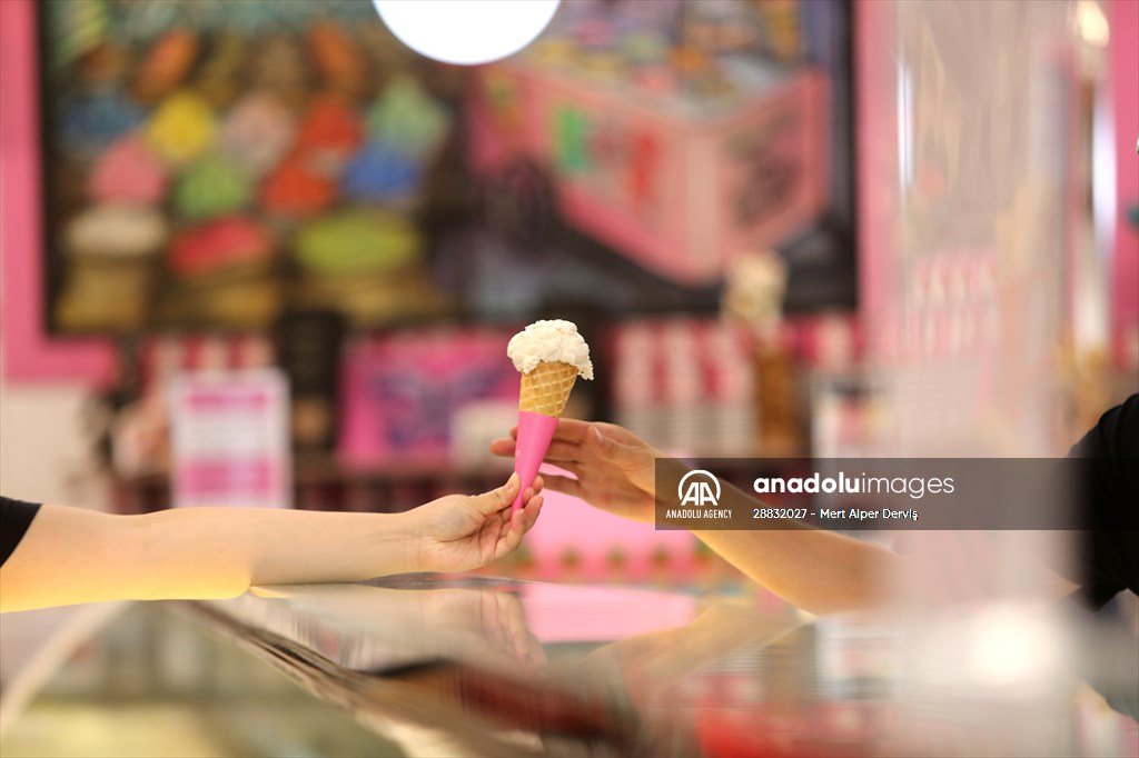 World Record 238 Ice Cream Flavours Anadolu Images