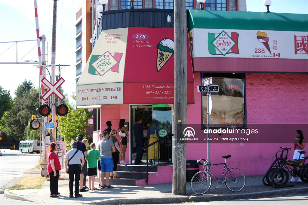 World Record 238 Ice Cream Flavours