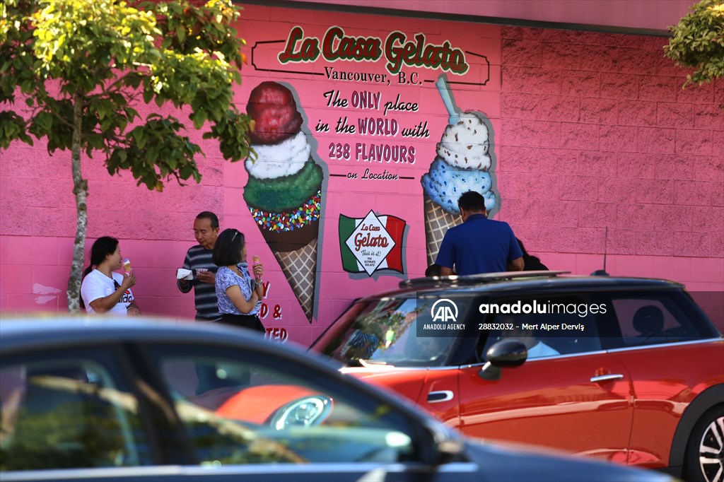 World Record 238 Ice Cream Flavours Anadolu Images