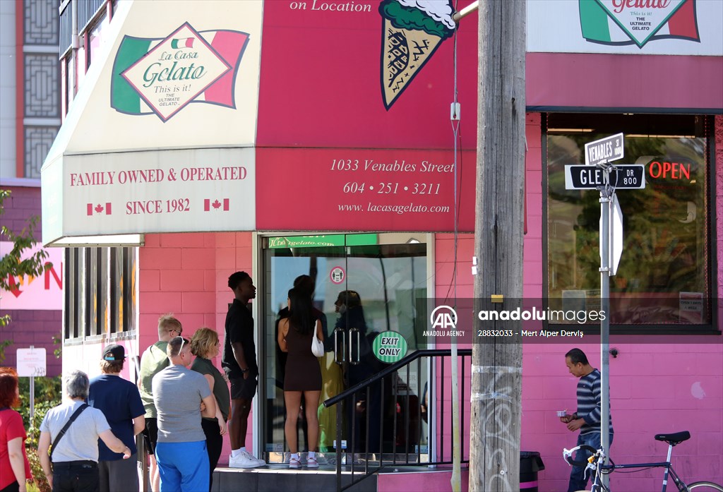 World Record 238 Ice Cream Flavours