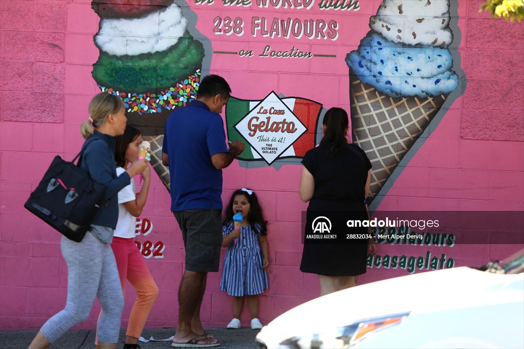World Record 238 Ice Cream Flavours Anadolu Images
