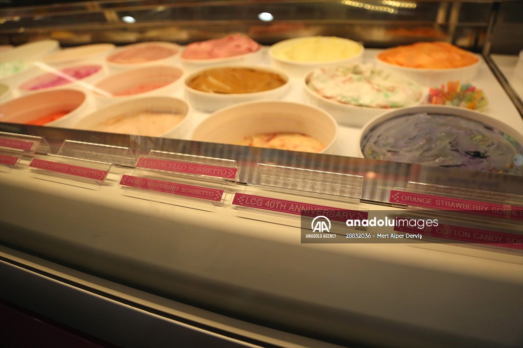 World Record 238 Ice Cream Flavours