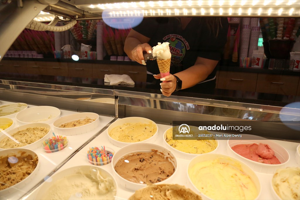 World Record 238 Ice Cream Flavours Anadolu Images