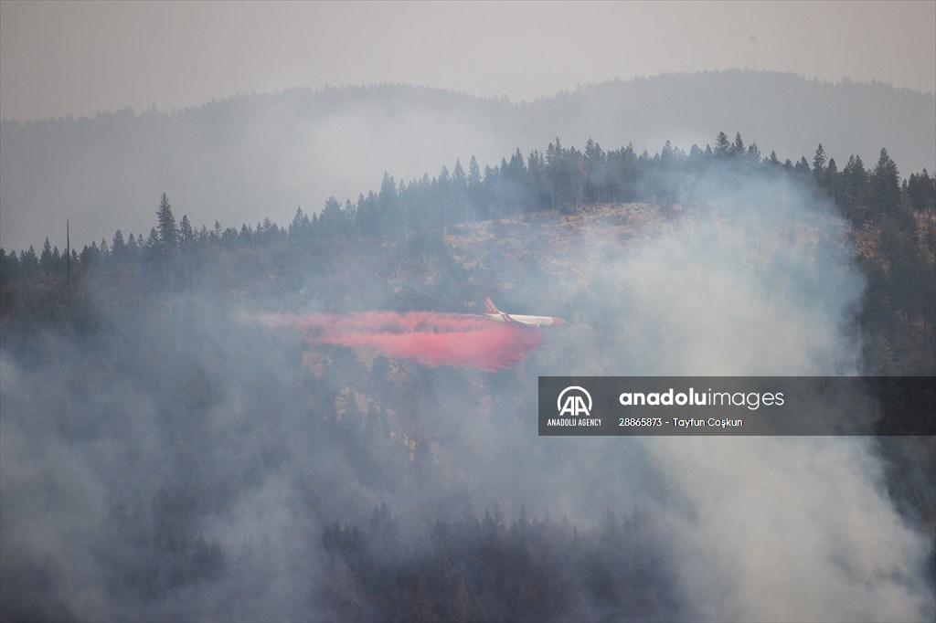 Mosquito fire in California