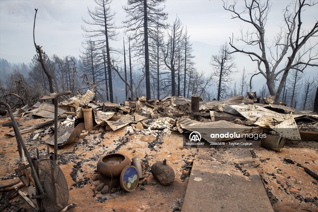 Mosquito fire in California