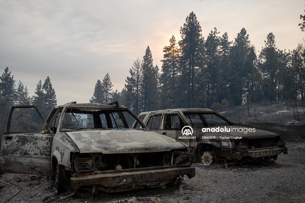 Mosquito fire in California