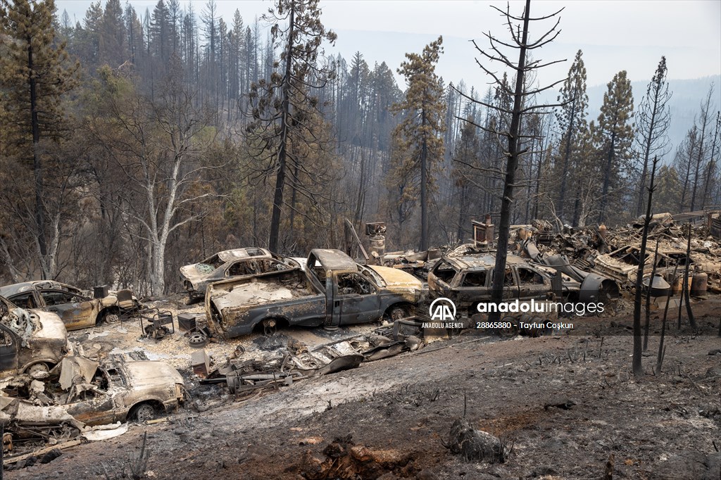 Mosquito fire in California