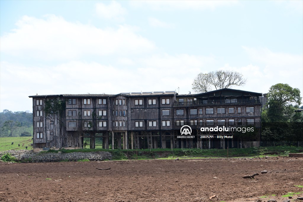 Treetops Hotel: Kenyan safari lodge where princess became a queen