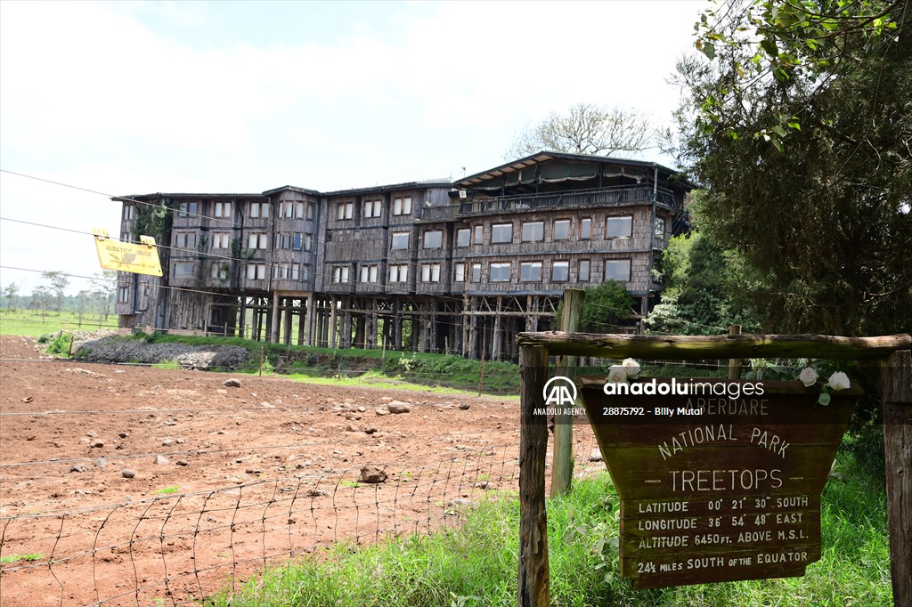 Treetops Hotel: Kenyan safari lodge where princess became a queen