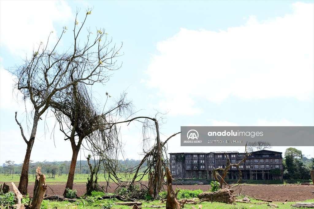 Treetops Hotel: Kenyan safari lodge where princess became a queen