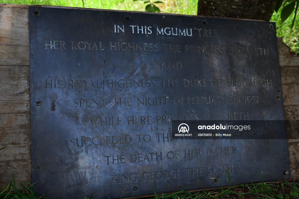 Treetops Hotel: Kenyan safari lodge where princess became a queen